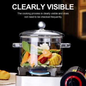 Clear Glass Simmer Pot with Lid - 1.9L/64 FL OZ Heat-Resistant Borosilicate Glass Pot for Cooking on Stove Glass Saucepan for Cooking Potpourri Cookware for Pasta, Soup, Tea, Milk Dishwasher Safe