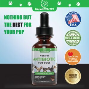 Natural Antibiotics for Dogs - Dog Antibiotics - Dog Itch Relief - Yeast Infection Treatment for Dogs - Dog Antibiotic - Dog Ear Infection Treatment - Pet Antibiotics - Antibiotic for Dogs - 1 oz