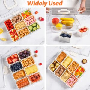 Snackle Box Container, Dishwasher Safety - Divided Serving Tray with Lid and Handle, Charcuterie Board for Portable Snack Platters - Clear Organizer for Fruits Snacks - Perfect for Road Travel Party