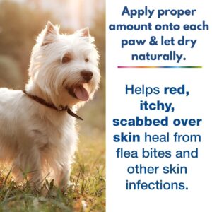 Baaww Paw Gel for Itch Relief | Hot Spot Treatment for Dogs & Cats | Dog Wound Care | Skin Yeast Infections, Ringworm, Cuts, Rashes (40 ML)