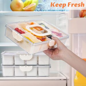 Snackle Box Container, Dishwasher Safety - Divided Serving Tray with Lid and Handle, Charcuterie Board for Portable Snack Platters - Clear Organizer for Fruits Snacks - Perfect for Road Travel Party