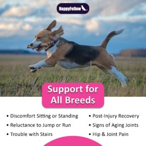 HappyFellow Hip and Joint Supplement for Dogs - Chondroitin Glucosamine for Dogs Dog Joint Supplement - Dog Vitamins and Supplements - 140 Soft Chews