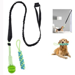 slaunt dog outdoor bungee tug toy spring pole dog rope toys door anchor hanging bungee toy interactive tug toy with 2 chew rope toys for small medium dogs for exercise, tug of war, bite training