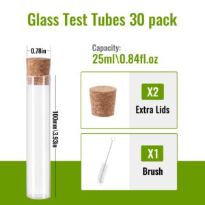 Miukada 25ml Glass Test Tubes with Cork Stoppers 30 Pack, 20x100mm Flat Bottom Plant Propagation Tubes, Small Clear Test Tubes for Shots, Ants, Lab, Scientific Experiments