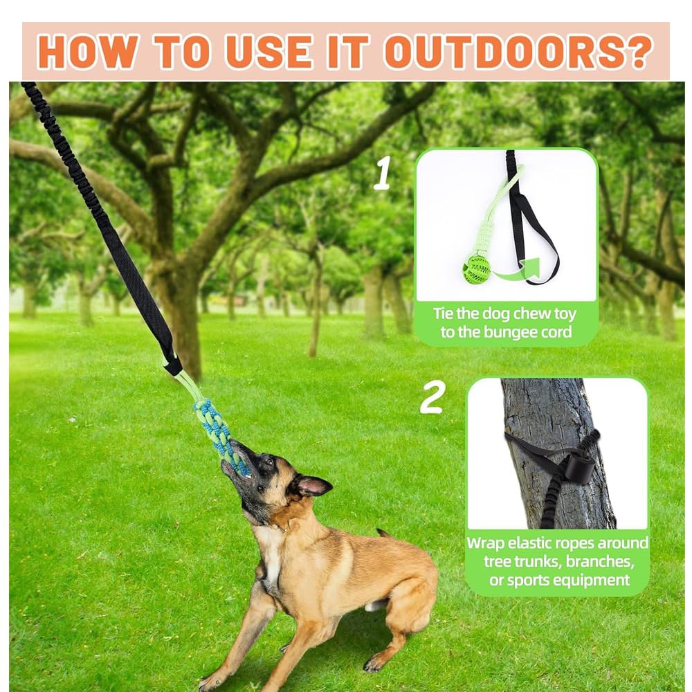 SLAUNT Dog Outdoor Bungee Tug Toy Spring Pole Dog Rope Toys Door Anchor Hanging Bungee Toy Interactive Tug Toy with 2 Chew Rope Toys for Small Medium Dogs for Exercise, Tug of War, Bite Training