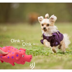 Andiker Dog Squeaky Toy, Dots Latex Dog Chew Toys with a Oinks Sound Squeaker Grunting Pig Dog Toy Durable Self Play 8" Dog Squeeze Toy for Dental Biting Chasing to Kill Boring Time (Pink)