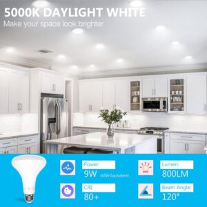 DAYBETTER BR30 LED Light Bulbs Indoor Flood Light, 6Pack 5000K Daylight White LED Bulb 65W Equivalent, Dimmable, E26 Base, 800LM, LED Recessed Can Bulb for Living Room Bedroom Dining Room Bathroom