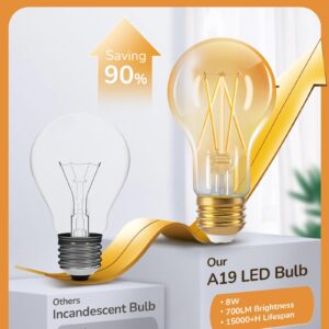 EDISHINE Vintage LED Edison Bulbs 8W, 60W Equivalent, 2200K Amber Warm Light, ST58 Antique Edison Light Bulb with 80+ CRI, A19 Dimmable Light Bulbs, 700LM, E26 Medium Base, 6 Pack