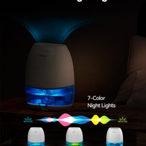 AlohaAir Dehumidifiers for Home, 34 oz Small Dehumidifier for Room, Quiet Dehumidifiers for Bathroom, Bedroom, RV, Closet with Auto Shut Off, 7 Colors Night Light