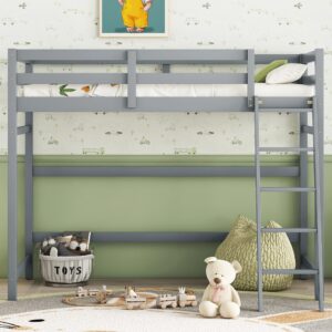 Bellemave Twin Size Loft Bed with Ladder, Wooden Loft Bed for Kids Teens, Loft Bed for Girls, Boys, Gray