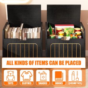 Aenuert Kids Storage Chests & Trunks Black Toy Storage Chests, Small Cube Storage Box Organizer,Wooden Storage Bin With Handle For Store Toy Books Clothes,Small Square Nightstand For Entryway,Bedroom