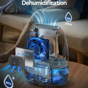 AlohaAir Dehumidifiers for Home, 34 oz Small Dehumidifier for Room, Quiet Dehumidifiers for Bathroom, Bedroom, RV, Closet with Auto Shut Off, 7 Colors Night Light