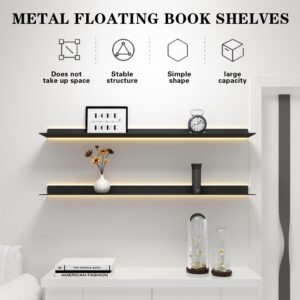 1pcs LED Floating Display Shelf with Built-in Illuminated Lights, Wall Mounted Metal Emitting Shelf Lighted Display Shelf, Creative Hanging Shelf for Living Room, Bedroom, Kitchen,Gold,150cm/59in