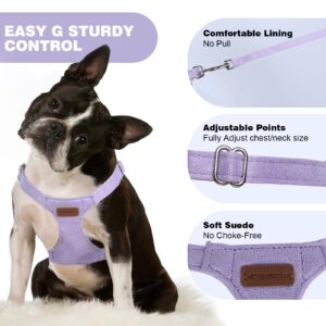 Dog Harness and Leash Set, XS No Pull Adjustable Puppy Harness with Multifunction Purple Dog Leash and Collar, Soft No Choke Escape Proof Pet Harness Vest for Small Dogs and Cats (Purple, XS)