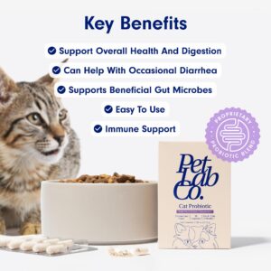 PetLab Co. Probiotics for Cats, Support Gut Health, Occasional Diarrhea, Digestive Health & Immune Support - Easy to Use - 30 Count