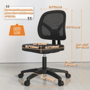 TTD TIANTIANDA Armless Mesh Back Office Computer Desk Chair with Adjustable Height Lumber Support for Adult, Black