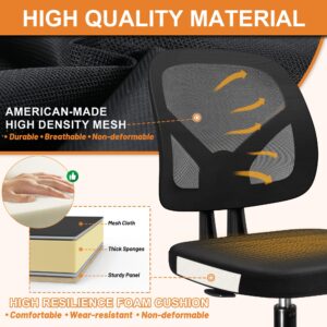 TTD TIANTIANDA Armless Mesh Back Office Computer Desk Chair with Adjustable Height Lumber Support for Adult, Black