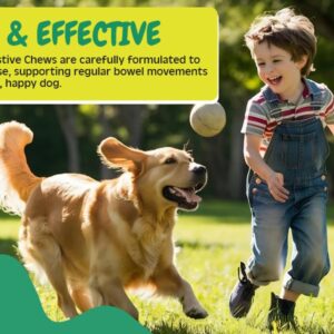 Barking Hugs Digestive Chews - Natural Probiotic & Prebiotic Enzyme Treats for Dogs - 6 Digestive Enzymes - Helps with Itching, Allergies, Gut Health, Digestion & Diarrhea