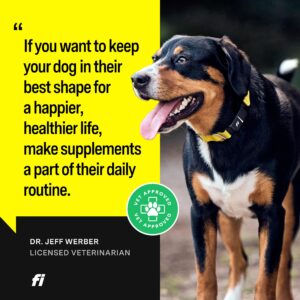 Fi 8-in-1 Dog Health Supplement - Daily Formula Supporting Essential Health Functions - Hip and Joints, Digestion, Skin, and Activity - 19 Active Ingredients (Glucosamine) + 90 Servings