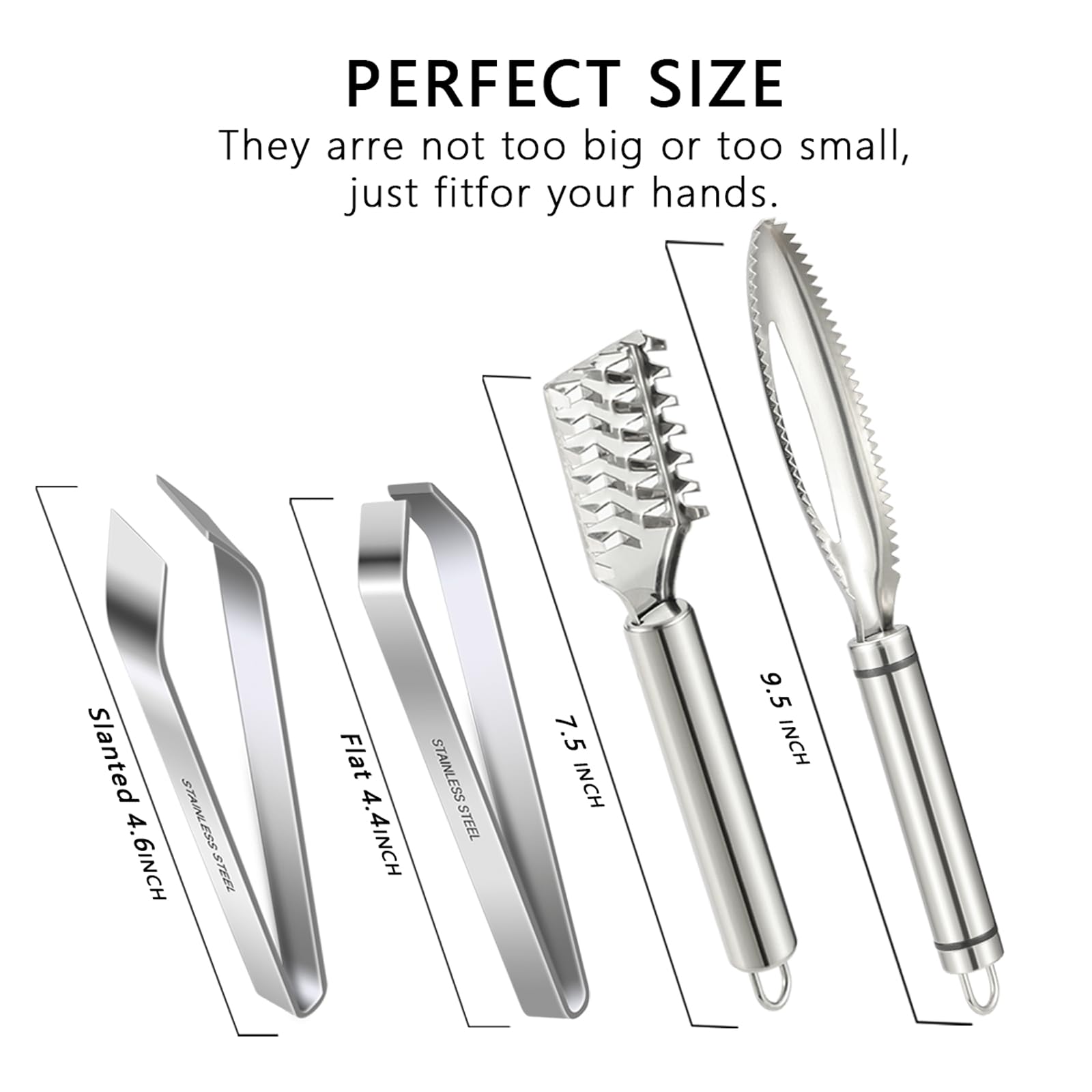 iziusy 2 Pcs Fish Tweezer 2 Pcs Fish Scale Remover, Fishbone Tweezers Fish Descaler Fish Cleaner Fish Scraper Tool Stainless Stee Fish Bone Pliers Remover,