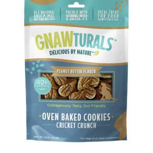 Gnawturals Oven Baked Cookies | Cricket Crunch | All Natural Small Artisan Batches, Packed with Sustainable Protein & Omegas | Ideal Treat for Food Sensitivities (40 Count, Peanut Butter)