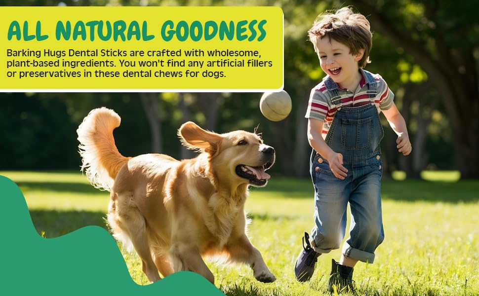 BARKING HUGS Dental Sticks - Natural Dog Dental Treats for Fresh Breath & Clean Teeth, All Natural Dog Breath freshener Dogs, No Grain or fillers, Dental Chews for Dogs with Peppermint Oil