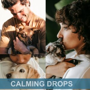 Calming Drops for Dogs and Cats - Calmness and Pets Well-Being - 6 in 1 Formula with L-Theanine Valerian Lemon Balm Chamomille - 120 Servings - Made in USA - Bacon Flavor 4oz