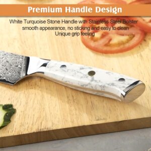 8-Inch Japanese Style Chef Knife – VG-10 Damascus Steel Blade, Ultra-Sharp High-Carbon Core, Ergonomic White Turquoise Resin Handle, Professional Luxury Kitchen Knife for Home Chefs, Includes Gift Box