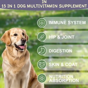 15 in 1 Dog Multivitamin Supplement - Dog Vitamins for Immune System, Digestion, Hip & Joint, Skin & Coat - Multivitamin Chews for Dog with Glucosamine & Chondroitin - Chicken Flavor, 120 Chews