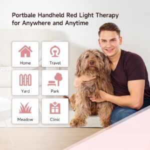 Portable Infra Red Cold Laser Light Therapy Device for Dog Pain Relief 5000mAh Low Level Infrared Laser Therapy Machine Pet 808 650nm Professional Vet LLLT Horse Healing Treatment Home Muscle Relax