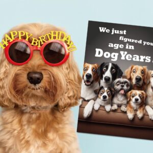 Gooji 5x7 Dogs Birthday Card, Funny Humorous Cute Card for Wife Husband Teenage Young Boy Girl Men Women Adult, Golden (Age)