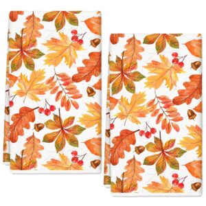 jarthenaamcs fall leaves kitchen towels watercolor maple leaves dish towels 18 x 28 inch autumn hand drying tea towels for thanksgiving cooking baking cleaning wipe, set of 2