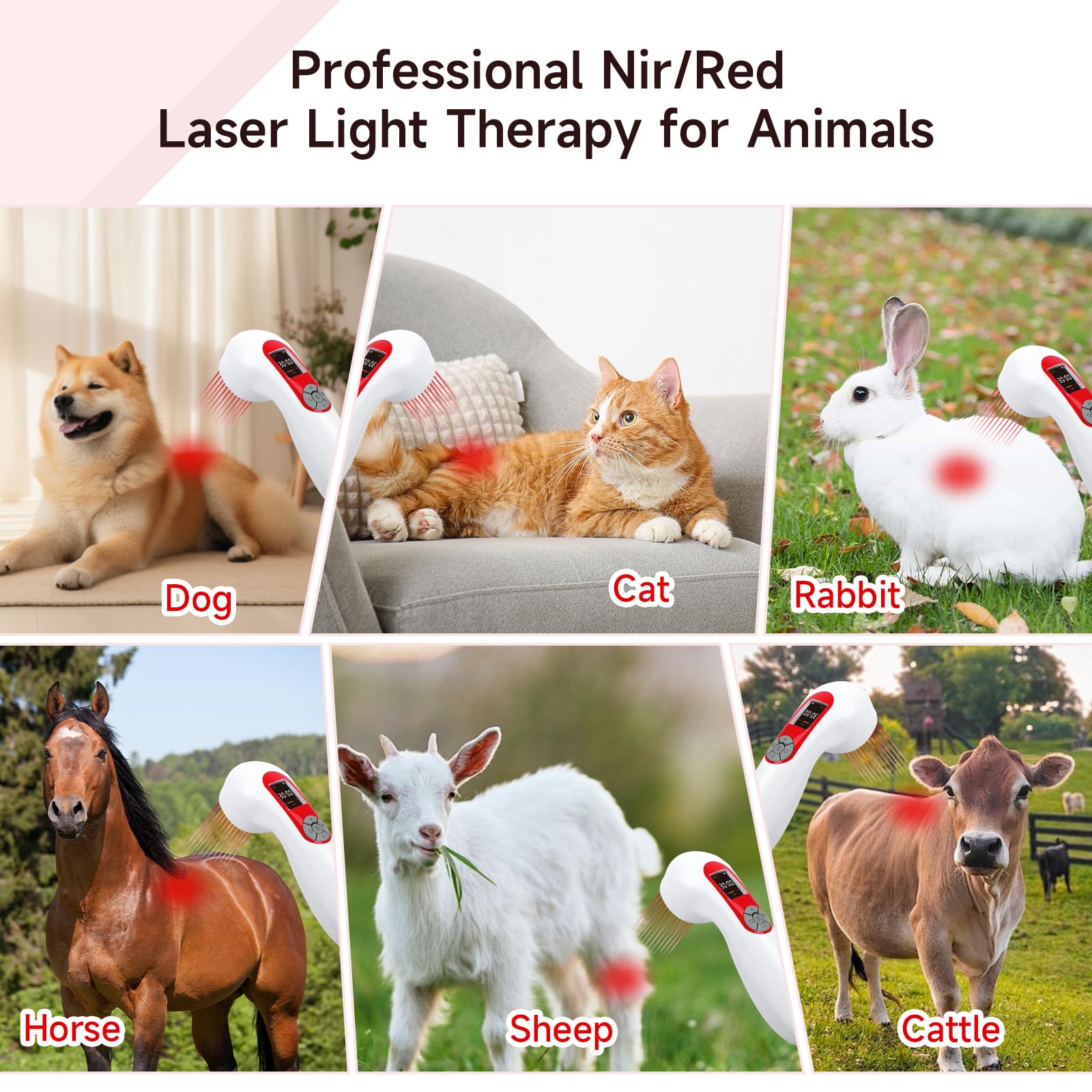 Portable Infra Red Cold Laser Light Therapy Device for Dog Pain Relief 5000mAh Low Level Infrared Laser Therapy Machine Pet 808 650nm Professional Vet LLLT Horse Healing Treatment Home Muscle Relax