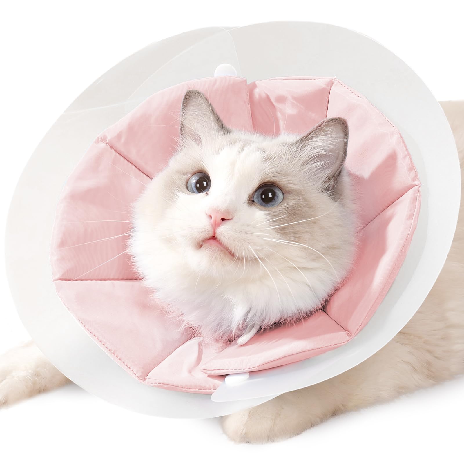 Cat Cone Collar Soft, Lightweight Cat Cones to Stop Licking, Adjustable Soft Cone for Cats After Surgery, Waterproof Kitten Cones Elizabethan Collar for Cats Recovery Collar Soft Cat Neck Cone