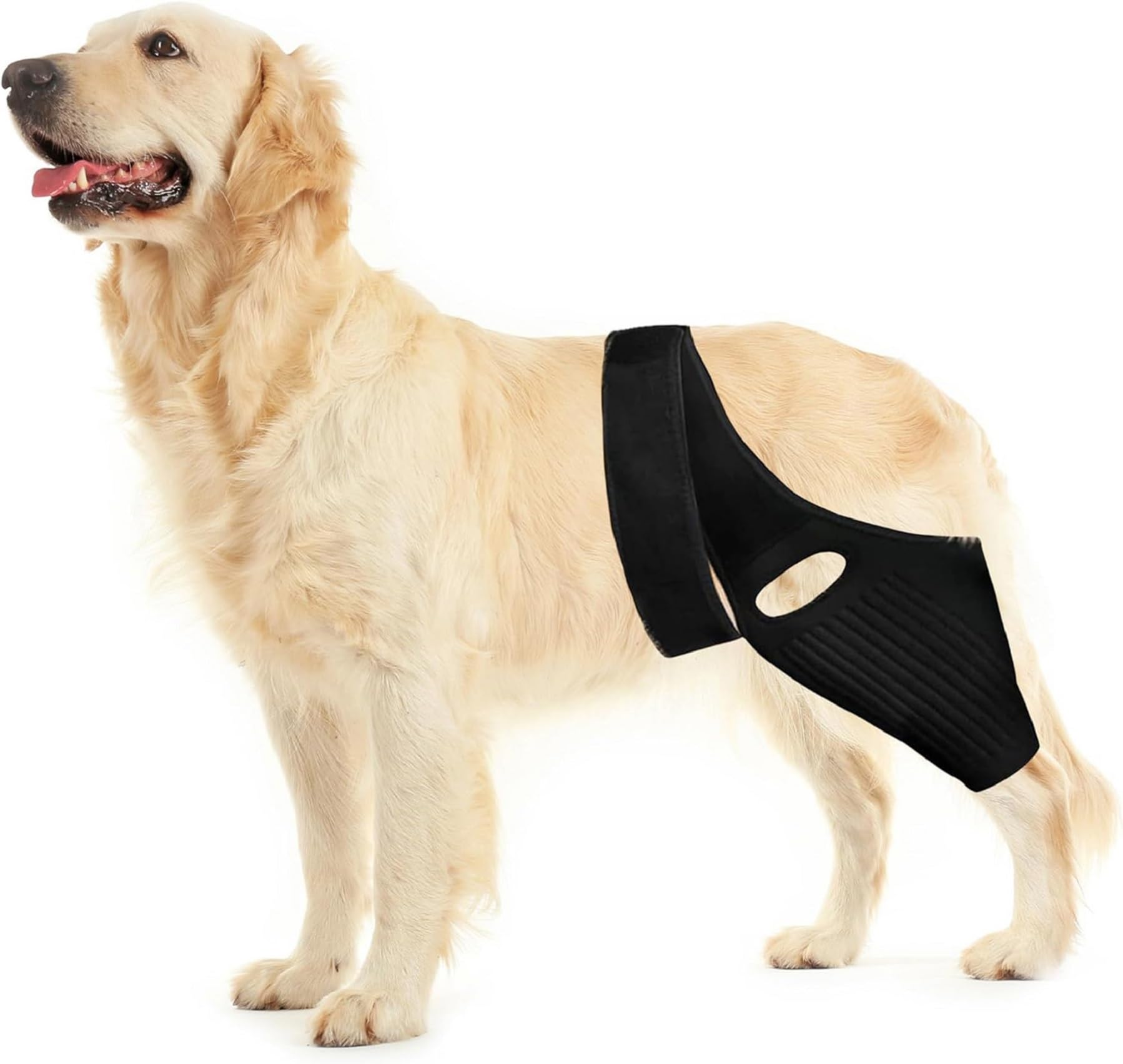 Huimpet Dog Hip Knee Leg Brace Dog ACL Brace for Front Torn and Back Hind Rear Legs ACL Tear, Dog Leg Brace for Hip Dysplasia, Dog Arthritis, Luxating Patella, Comfortable and Adjustable (M-Size)