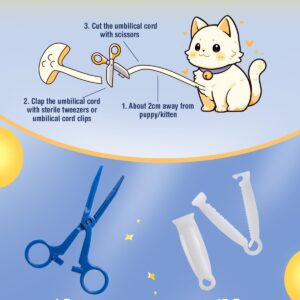 Huimpet 52Pcs Puppy Whelping Kit, Newborn Pets Whelping Supplies with 4 Puppy Feeding Tube,15 Puppy Whelping Collars, 15 Cord Clamps, 2 Gloves, Digital Thermometer, Stethoscope and More