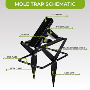 2 PCs Mole Traps Scissor, Reusable Black Galvanized Steel Scissor Trap for Lawns Outdoor Use, Ground Mole Trap Easy to Set Quick Capture Gopher