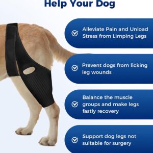 Huimpet Dog Hip Knee Leg Brace Dog ACL Brace for Front Torn and Back Hind Rear Legs ACL Tear, Dog Leg Brace for Hip Dysplasia, Dog Arthritis, Luxating Patella, Comfortable and Adjustable (M-Size)