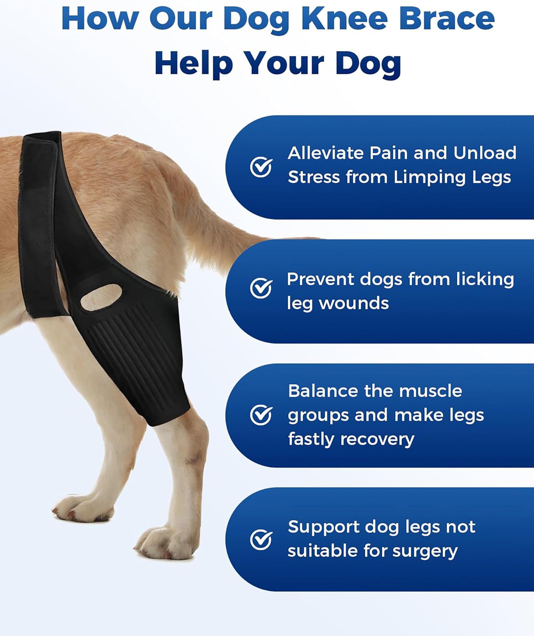 Huimpet Dog Hip Knee Leg Brace Dog ACL Brace for Front Torn and Back Hind Rear Legs ACL Tear, Dog Leg Brace for Hip Dysplasia, Dog Arthritis, Luxating Patella, Comfortable and Adjustable (M-Size)