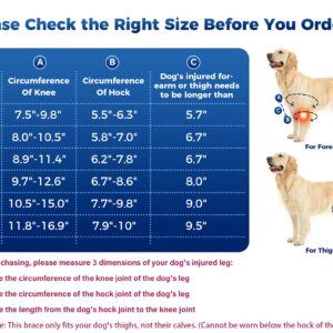 Huimpet Dog Hip Knee Leg Brace Dog ACL Brace for Front Torn and Back Hind Rear Legs ACL Tear, Dog Leg Brace for Hip Dysplasia, Dog Arthritis, Luxating Patella, Comfortable and Adjustable (M-Size)