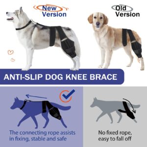 Dog Knee Brace Adjustable for Torn ACL and Hip Dysplasia - Supports Large and Small Dogs with CCL, Ligament Injuries, Osteoarthritis Relief, Enhances Mobility and Recovery (Large)