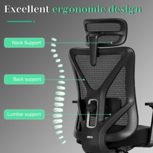 T23 Ergonomic Office Chair,Mesh Computer Desk Chairs with Adjustable Lumbar Support,Headrest,3-D Armrests,Swivel Wheels,Rolling Home Office Desk Chairs for Long Hours (Black)