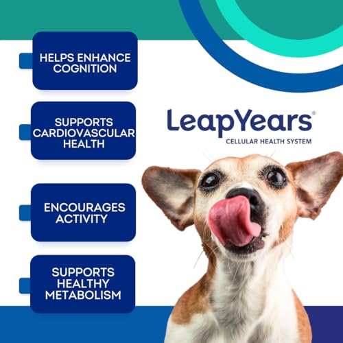 Leap Years Soft Chew Dog Supplement – Clinically Proven Daily NAD & Senolytic Formula; Support Cognition, Vitality & Healthy Cellular Aging; Beef Flavor (Small/Medium Breed (<54 lbs))