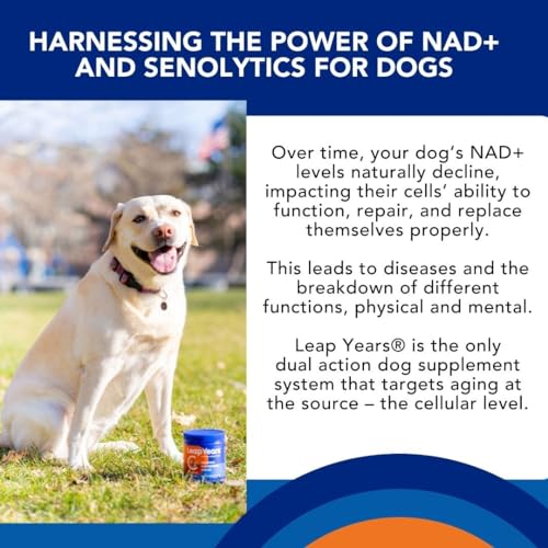 Leap Years Soft Chew Dog Supplement – Clinically Proven Daily NAD & Senolytic Formula; Support Cognition, Vitality & Healthy Cellular Aging; Beef Flavor (Small/Medium Breed (<54 lbs))