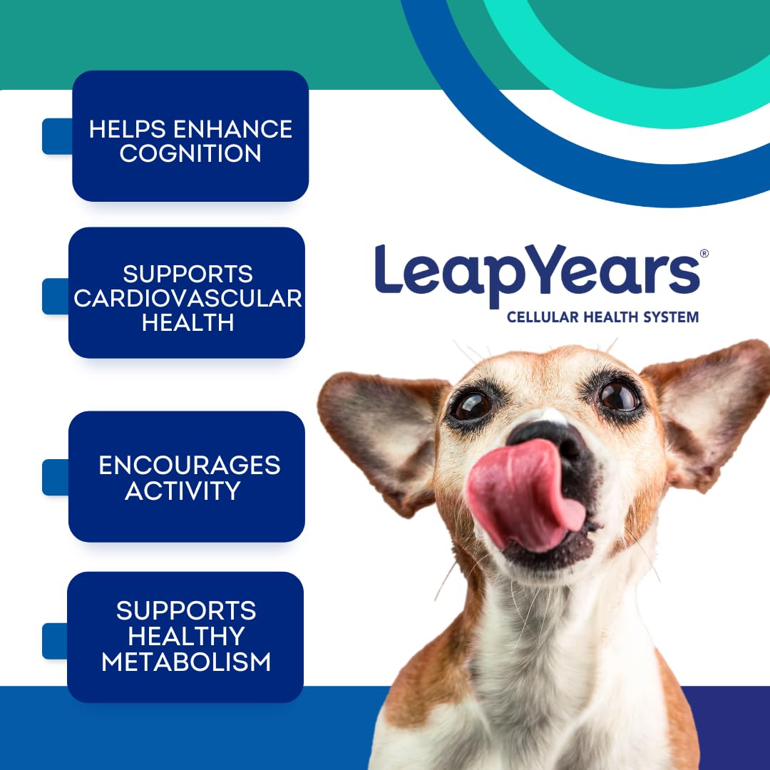 Leap Years Soft Chew Dog Supplement – Clinically Proven Daily NAD & Senolytic Formula; Support Cognition, Vitality & Healthy Cellular Aging; Beef Flavor (Large Breed (55-76 lbs))