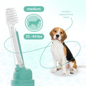 Petsie Dog Toothbrush Replacement Heads | 2 Pack | Replace Every Three Months | Reduces Bad Breath | Compatible with Petsie Toothbrush Only (White, Medium Dogs)