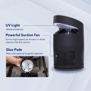 OWLTRA IMT-L70 Indoor Electric Insect Trap, Catcher & Killer Lamp for Fruit Flies, Mosquitos, Moths, Gnats, and More with UV Light Attraction and Fan Suction, Black