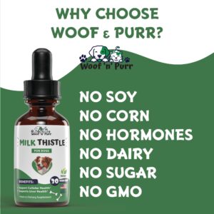 Milk Thistle for Dogs - Supports Liver and Kidney Health - Milk Thistle for Dogs Liver Support - Dog Milk Thistle - Dog Liver Support - Dog Liver Supplement - Milk Thistle Supplement for Dogs - 1 oz