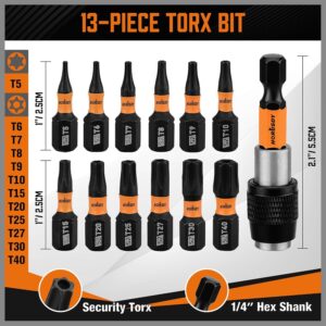 HORUSDY 13Pieces T5-T40 Torx Bits Set - Torx Security Bit Set - Security Torx Bit Set | Star Bits Set - 1/4 Hex Torx