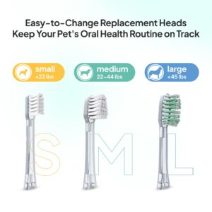 Petsie Dog Toothbrush Replacement Heads | 2 Pack | Replace Every Three Months | Reduces Bad Breath | Compatible with Petsie Toothbrush Only (White, Medium Dogs)